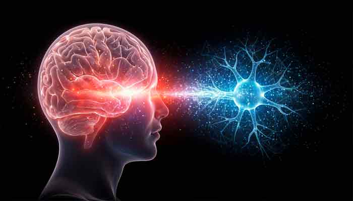 5 Kebiasaan Positif Untuk Tetap Berpikir Tajam dan Merawat Otak